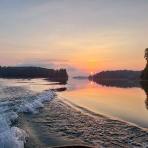 Meet your Posher, Lacey